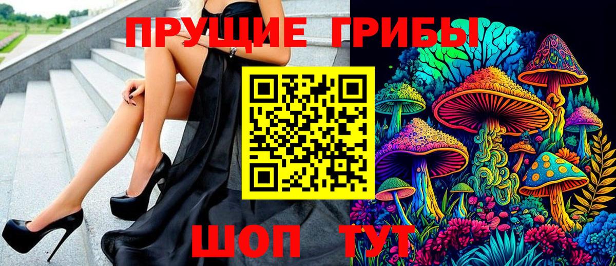 Галлюциногенные грибы Psilocybe Курчатов