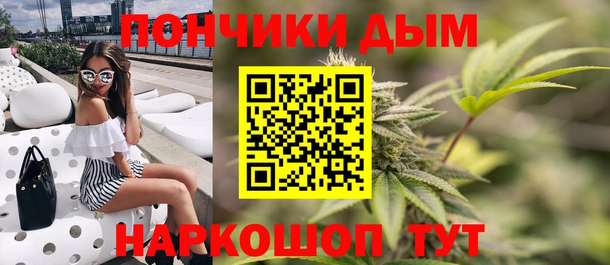 Каннабис семена  Вход с VPN  Каннабис ГИДРОПОН  Курчатов  Бошки Шишки конопля 